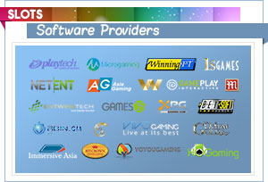 Fournisseurs de logiciels