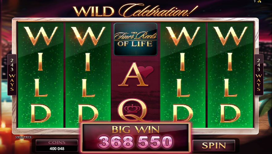 the finer reels of life screenshot