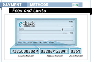 echeck fees and limits